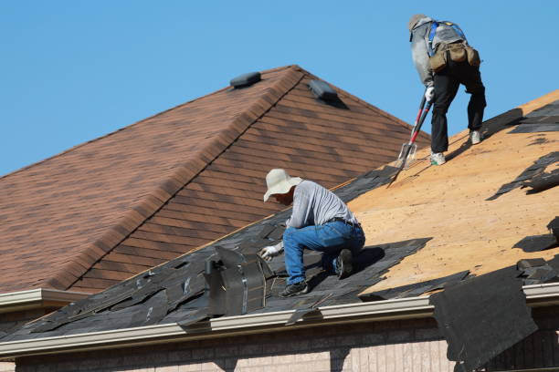 Best Roof Leak Repair  in Hector, MN