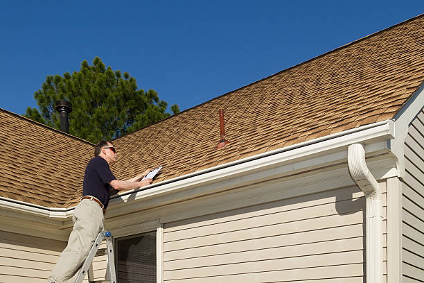 Best Skylight Installation and Repair  in Hector, MN